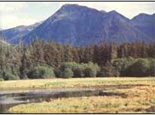 Rural Life in Sitka District Alaska